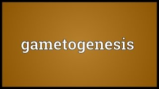 Gametogenesis Meaning [upl. by Anonyw691]