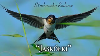 Jaskółki  Joanna Chmielewska  Słuchowisko radiowe [upl. by Bakki]