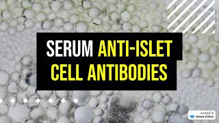 Serum Anti Islet Cell Antibodies Test Explained [upl. by Ayekat]