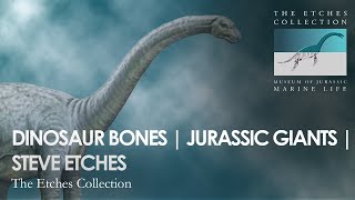 DINOSAUR BONES  JURASSIC GIANTS  STEVE ETCHES [upl. by Sidnarb]