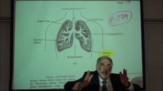 RESPIRATORY PHYSIOLOGY PLEURAL MEMBRANES INTRAPLEURAL PRESSURE amp VALSALVA MANEUVER by Professor F [upl. by Tyika]