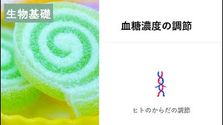 15生物基礎「血糖濃度の調節」2023 [upl. by Sacks134]