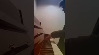 Halleys Comet Piano Cover  Billie Eillish ❤ SUBSCRIBE piano halleyscomet pianocover [upl. by Eamon527]