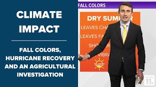 What causes fall colors PLUS Agricultural investigation underway  Climate Impact Episode 4 [upl. by Devondra]