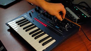 Programming Acid Traxx 303 pattern on the Korg Monologue shorts shortvideo monologue [upl. by Robbie]