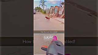 انقلب السحر على الساحر 💀 تصميم edit [upl. by Gery539]