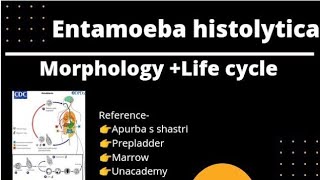 Entamoeba histolytica cycle parasitology in hindi  morphology of entamoeba histolytica [upl. by Langdon]