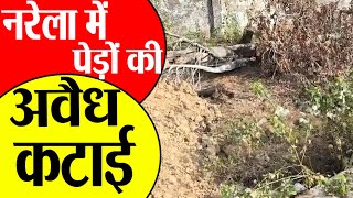 Narela में बिल्डर माफिया का आतंक पर्यावरण को नुकसान पहुंचाने वाली बड़ी सच्चाई  Navdeep News [upl. by Humfrid]