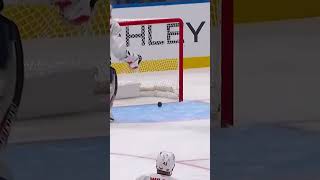 CRAZY goalie goal or hat trick 😱🚨🧢 [upl. by Stav]