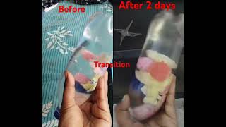 Before ampafter 2 days transition youtubeshorts [upl. by Anilam124]