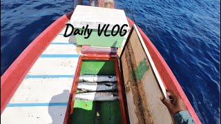 Daily VLOG 10th September 2024 [upl. by Augusta]