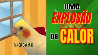 Uma EXPLOSÃO de CALOR 🔥 [upl. by Malcah]