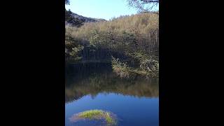 東山魁夷も見惚れた【御射鹿池】自然の景色 長野県 茅野市 綺麗な景色 ponds japan [upl. by Kerekes]