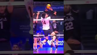 🤫ishikawa nishida combination💀🥵✈volleyball [upl. by Harned179]