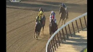 Constitutions Return Race  Belmont Park 10122014 [upl. by Chadburn24]