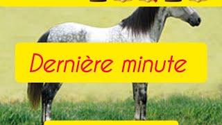 PRONOSTIC PMU DU DIMANCHE 10 NOVEMBRE 2024DERNIÈRE MINUTE [upl. by Airdnoed]