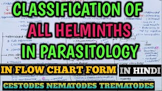 Parasitology  Classification of Helminths in Microbiology  Cestodes  Nematodes  Trematodes [upl. by Bamberger723]