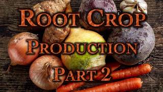 Root Crop Production Part 2 [upl. by Aerised34]