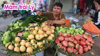 Siêu hiếm mâm trái Lý ngọt thơm tuổi thơ ai cũng ghiền nhưng giờ có tiền chưa chắc mua được để ăn [upl. by Jeremiah334]