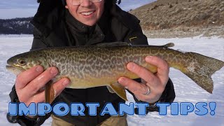 How to Fish Panguitch Lake Ice Fishing [upl. by Annahc]