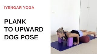 Plank pose Chaturanga Dandasana to upward facing dog pose Urdhva Mukha Svanasana  Iyengar Yoga [upl. by Deeyn]