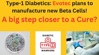 Evotec  Sernova Corp Team Up to Cure Type1 Diabetes [upl. by Yenahteb692]