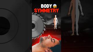 Human body cut in two parts 😱  Body Symmetry science education facts biology neet [upl. by Nilyram]