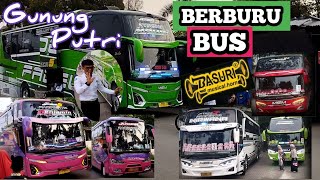 SEHARIAN BERBURU BUS BASURI AREA GUNUNG PUTRI  MSM quotMAUDIquot DAN MEDAL JAYA quotBENJAMINquot  NGOYOD [upl. by Nocaj]