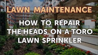 How to Repair the Heads on a Toro Lawn Sprinkler [upl. by Kenlee]