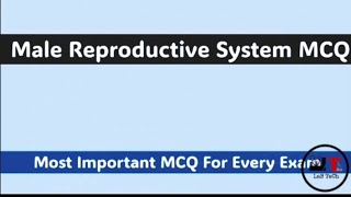 Male Reproductive System MCQ malereproductivesystem reproduction labtechnicians laboratory lab [upl. by Trellas]