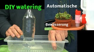 Automatische Bewässerung von Pflanzen DIY watering plants with bottles [upl. by Ginzburg]