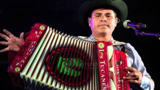 Los Tucanes De Tijuana Mix Corridos En Vivo [upl. by Nauqed]