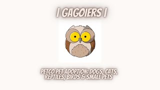 Petco Pet Adoption Dogs Cats Reptiles Birds amp Small Pets  Gagoiers [upl. by Jemimah102]