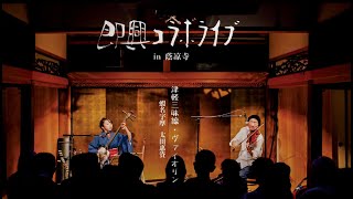 Tsugaru Shamisen and Violin  Improvisation of Folk Songs  Keisuke Ota amp Uma Ebina  Highlights [upl. by Ettenahs]