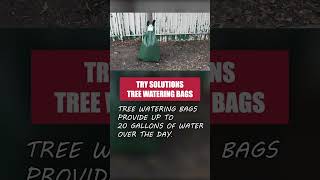 Use Tree Watering Bags to Keep Your Trees Watered [upl. by Arlo]