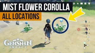 Collect Mist Flower Corolla From Beside The Water  Genshin Impact Quest [upl. by Nnylyma]