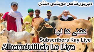 Mirpurkhas Cow Mandi 2024  Subscriber Ke Liye Le liya  Latest Update 30 May 2024  Maweshi Mandi [upl. by Hartfield]