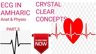 ElectrocardiographyECG [upl. by Ayinat]