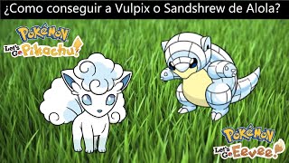 Como conseguir a Vulpix o Sandshrew de Alola en Pokemon Lets Go Pikachu amp Eevee [upl. by Kisor]