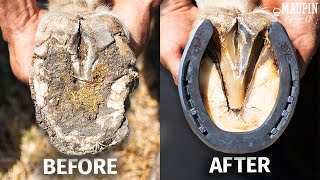 Satisfying Full Horse Hoof Restoration  4K FARRIER ASMR [upl. by Gilburt520]