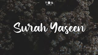 Surah Yaseen  Omar Hisham  Tabeeb E Qalb  Quran [upl. by Anen]