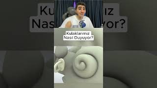 Kulaklarımız Sesleri Nasıl Duyuyor 🧏‍♂️👂🏼 shorts [upl. by Charil446]