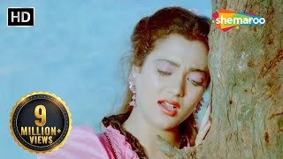 Aawaz Hamari Isi Vadi Mein Part 2  Shoorveer 1988 Mandakini Kavita Krishnamurthy  Hindi Geet [upl. by Anirav]