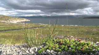 North Cape Landscape surroundings of Honningsvåg Norway [upl. by Suirtemed]