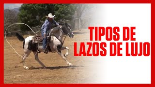 ✅🐴 Tipos de LAZOS DE LUJO Costa Rica 🇨🇷🐴 [upl. by Kloman]