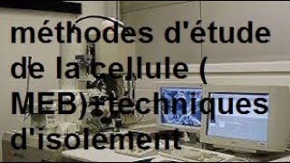 cytologieles méthodes d’étude de la cellule microscopes électroniques MEB part 1 [upl. by Petit]