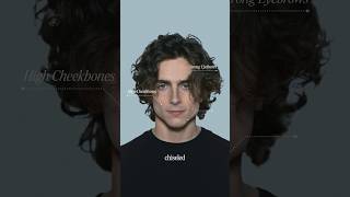 What Makes Timothee Chalamet So Attractive [upl. by Noswal565]