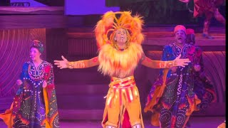 Lion King Show  Disneyland Paris  December 2022 [upl. by Esinal70]