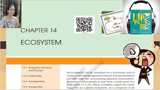 Ch 14 Class 12 NCERT Audio Book  Ecology NCERT Audio Book  Ecosystem Audio BookNCERT Reading Only [upl. by Karrah554]