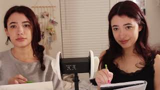 ASMR Twins Draw Your Portrait [upl. by Alvita]